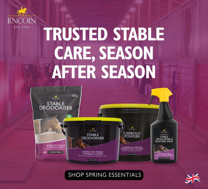 Lincoln - Muddy Buddy 2025